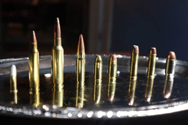 Ammunition Explained: Type, Caliber, Weight, Components: With Photos ...